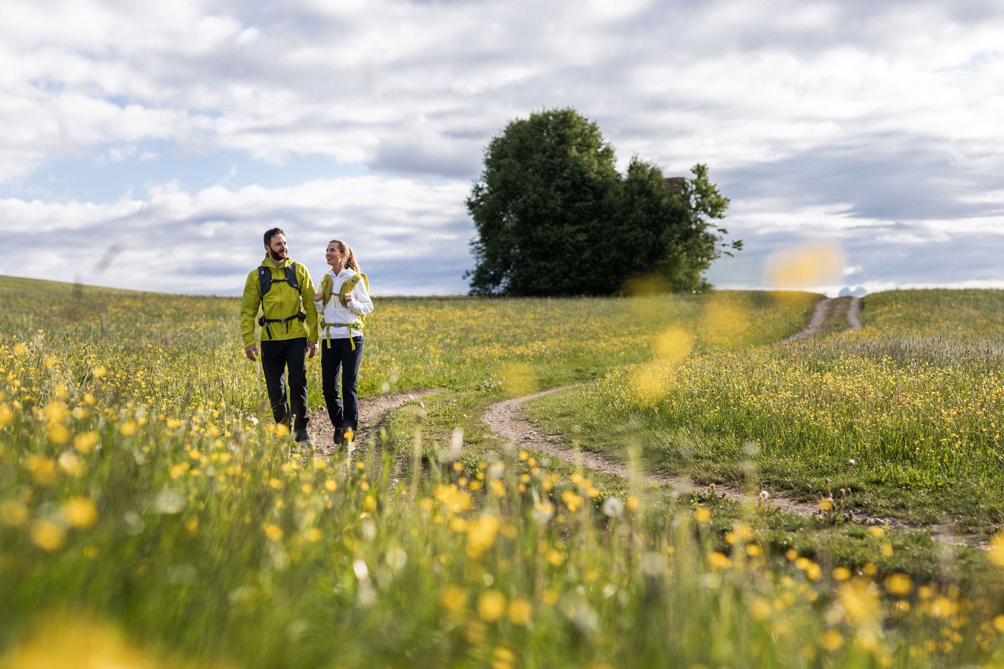 Wandern im Frühling